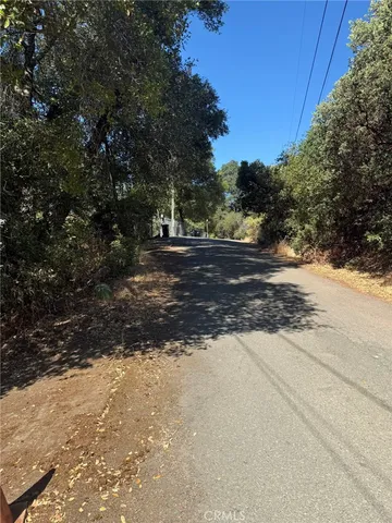a view of a yard with plants and trees