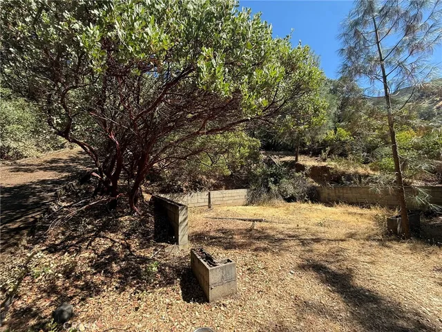a view of a fire pit with large trees