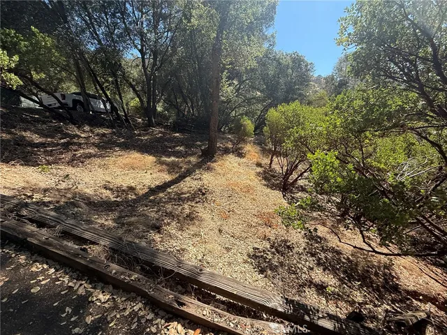 a view of a yard with trees