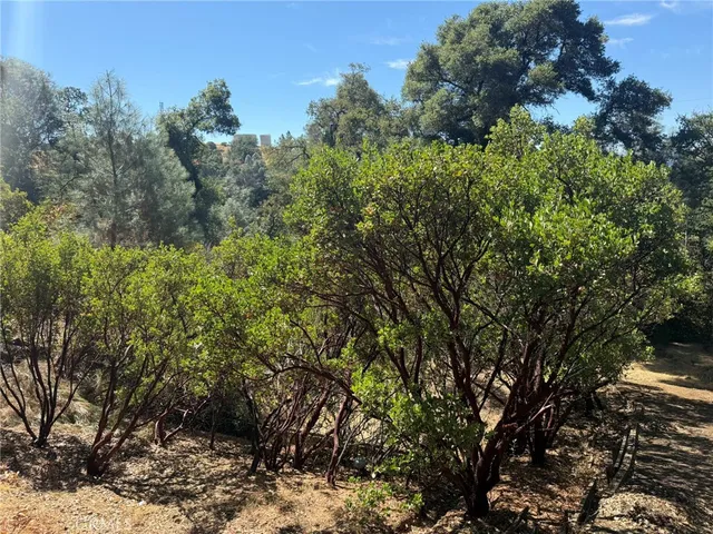 a view of a large yard with lots of green space