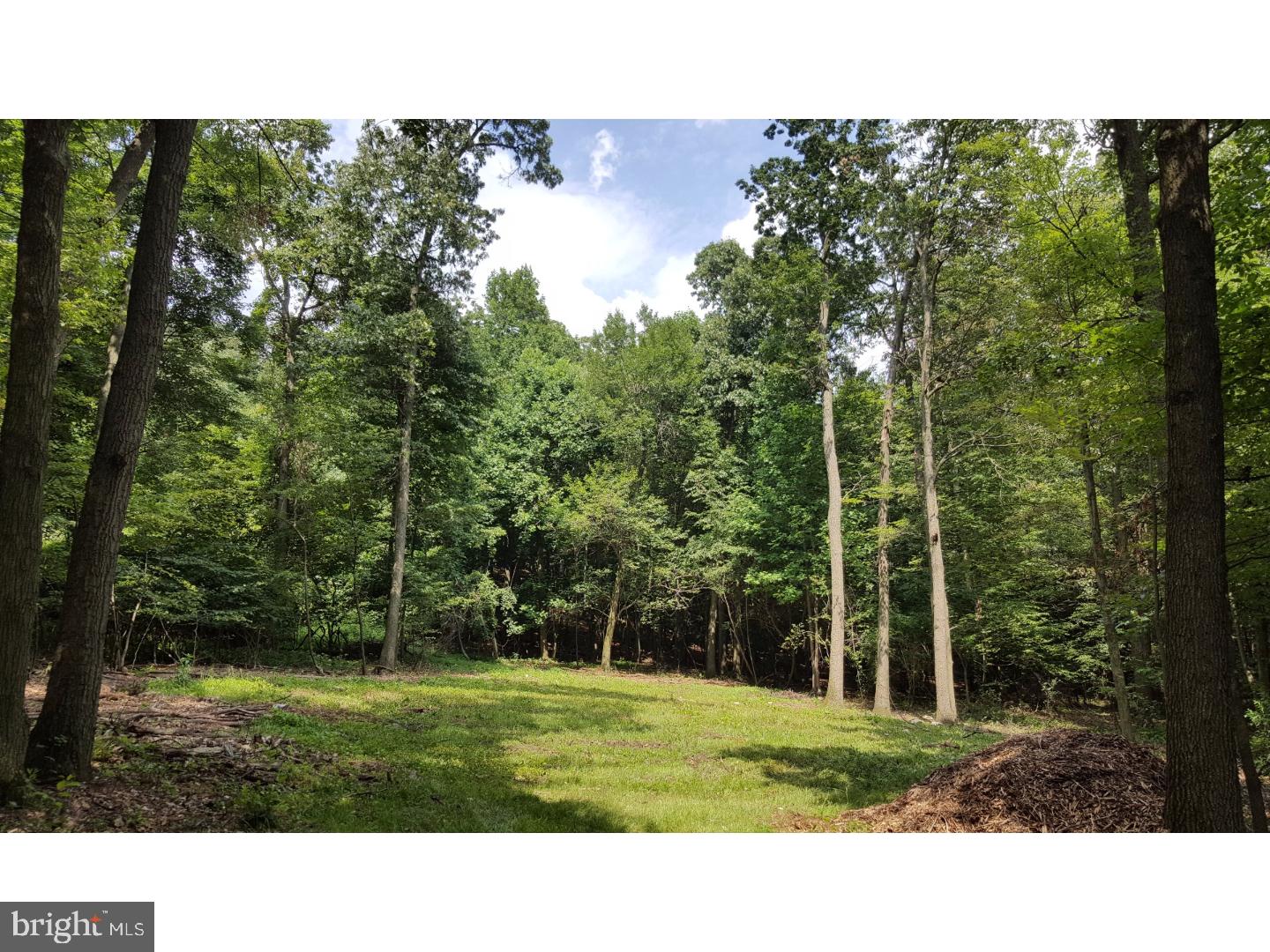 Lot 4 Grings Hill Road Sinking Spring, PA 19608 - Photo 1 of 7