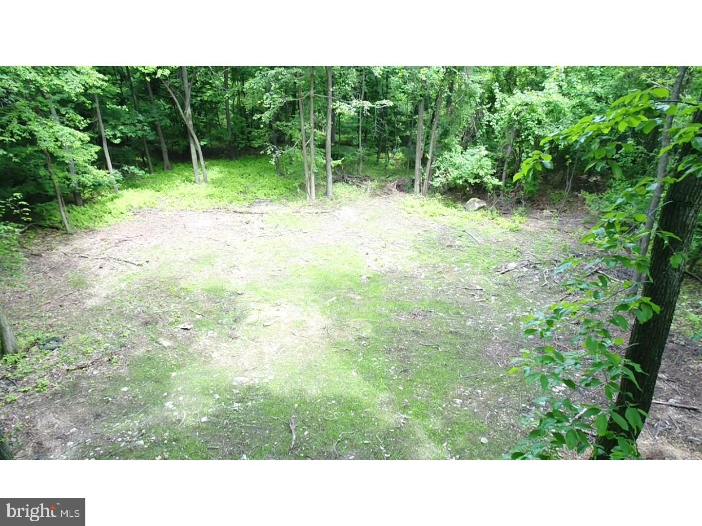 Lot 4 Grings Hill Road Sinking Spring, PA 19608 - Photo 3 of 7