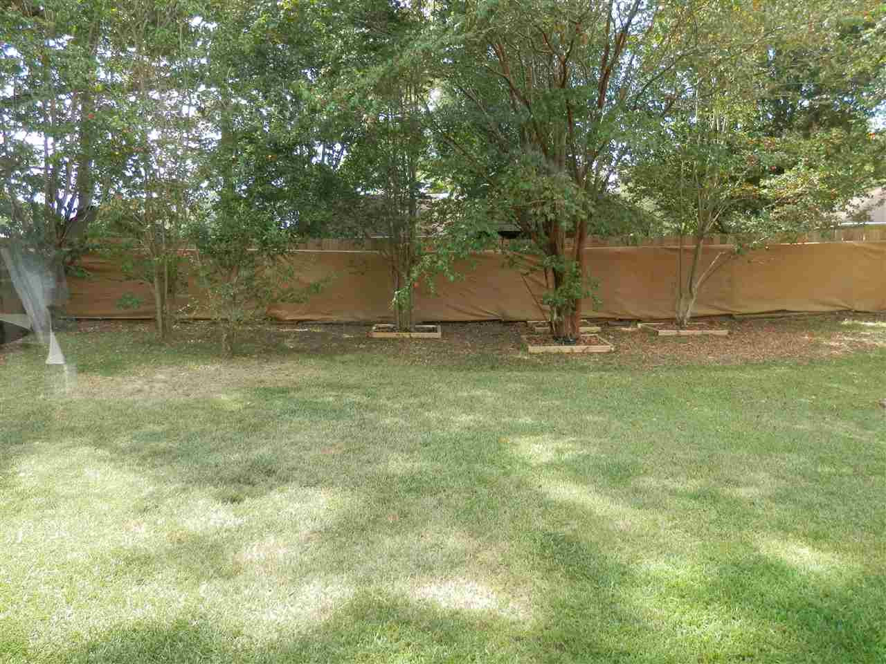 143 Spring Cove Brandon, MS 39042 - Photo 17 of 19 Photo 17