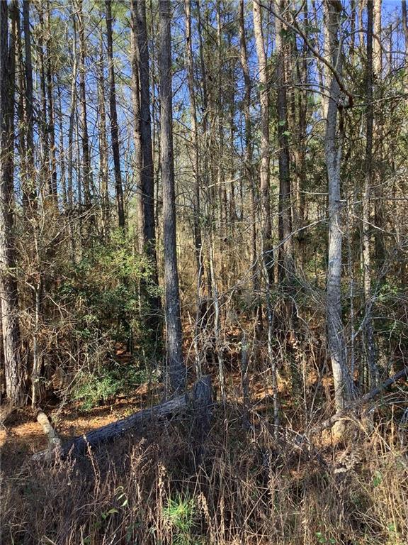 36264 J W Riles Road Mount Hermon, LA 70450 - Photo 23 of 23 Gallery Image 23