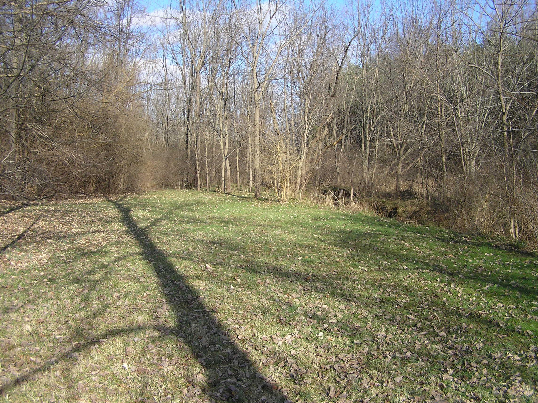 0 Watkins Road Southwest Pataskala, OH 43062 - Photo 12 of 12