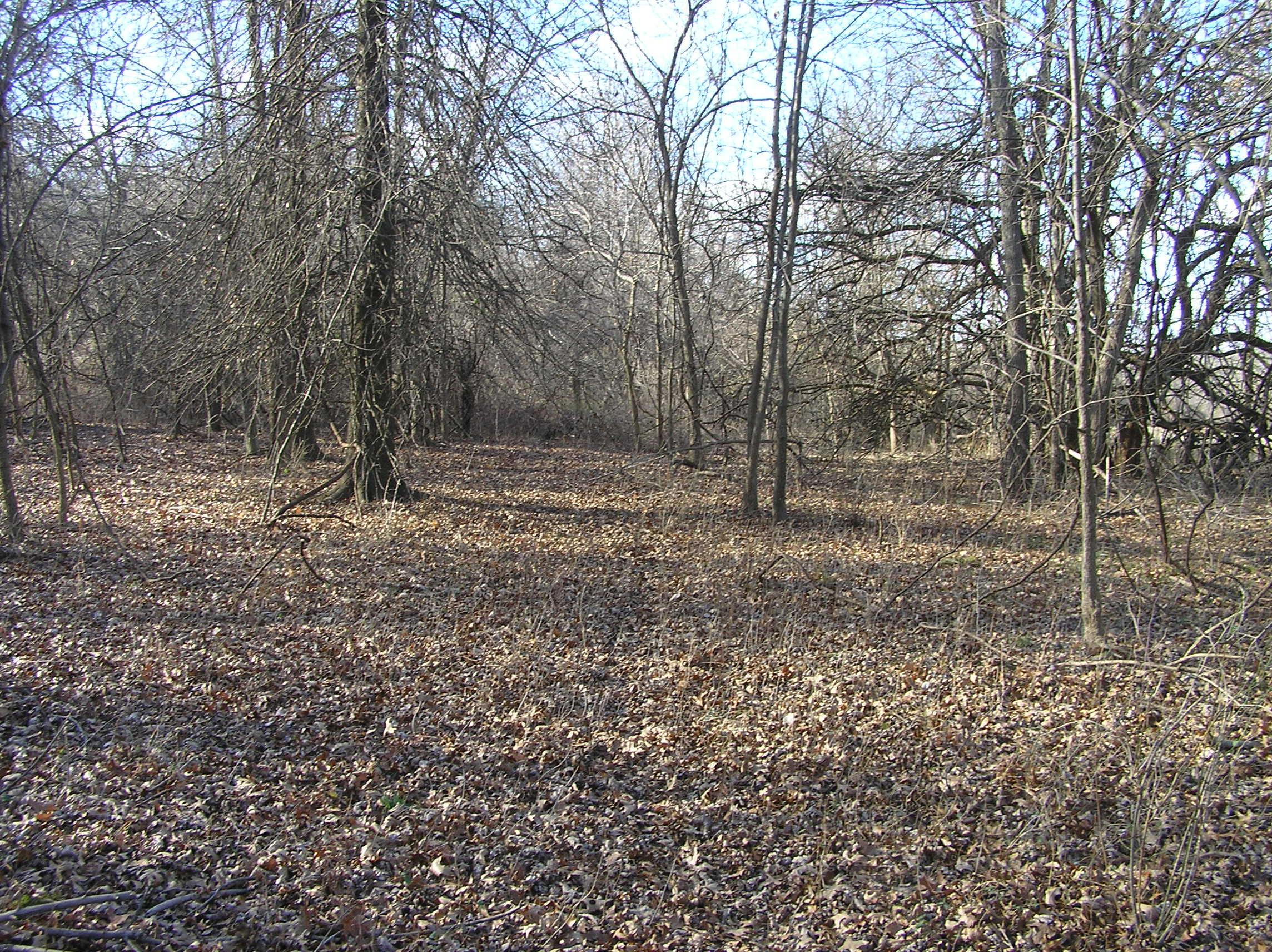 0 Watkins Road Southwest Pataskala, OH 43062 - Photo 8 of 12
