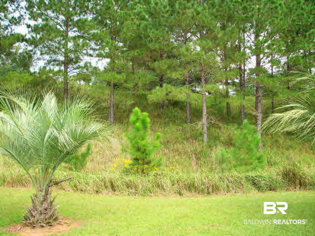 13200 Labradors Run Foley, AL 36535 - Photo 21 of 24
