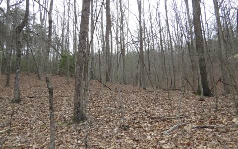 West Stover Creek Cove Blue Ridge, GA 30513 - Photo 1 of 1 a view of wooden fence