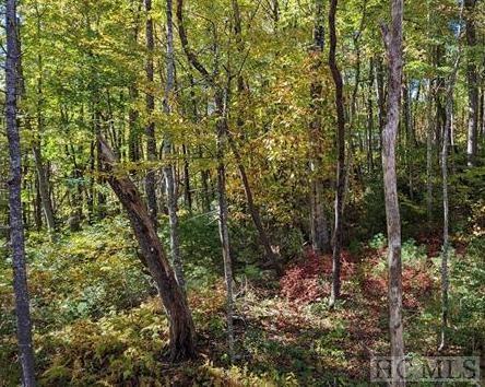 L15 Boiling Springs Road Sapphire, NC 28774 - Photo 2 of 5 Gallery Image 2