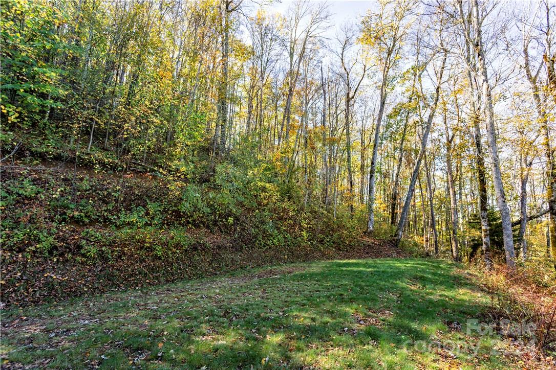 0 Big Spring Trail, Unit 65 Cherokee, NC 28719 - Photo 12 of 20 a view of outdoor space and a yard