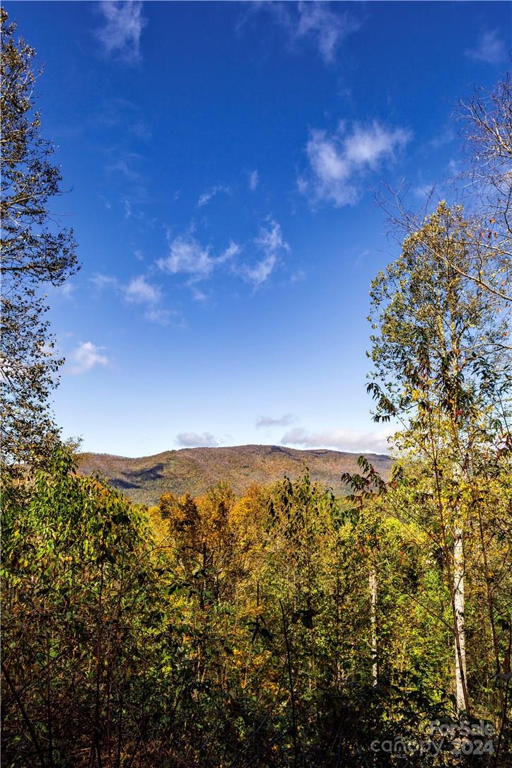 0 Big Spring Trail, Unit 65 Cherokee, NC 28719 - Photo 13 of 20