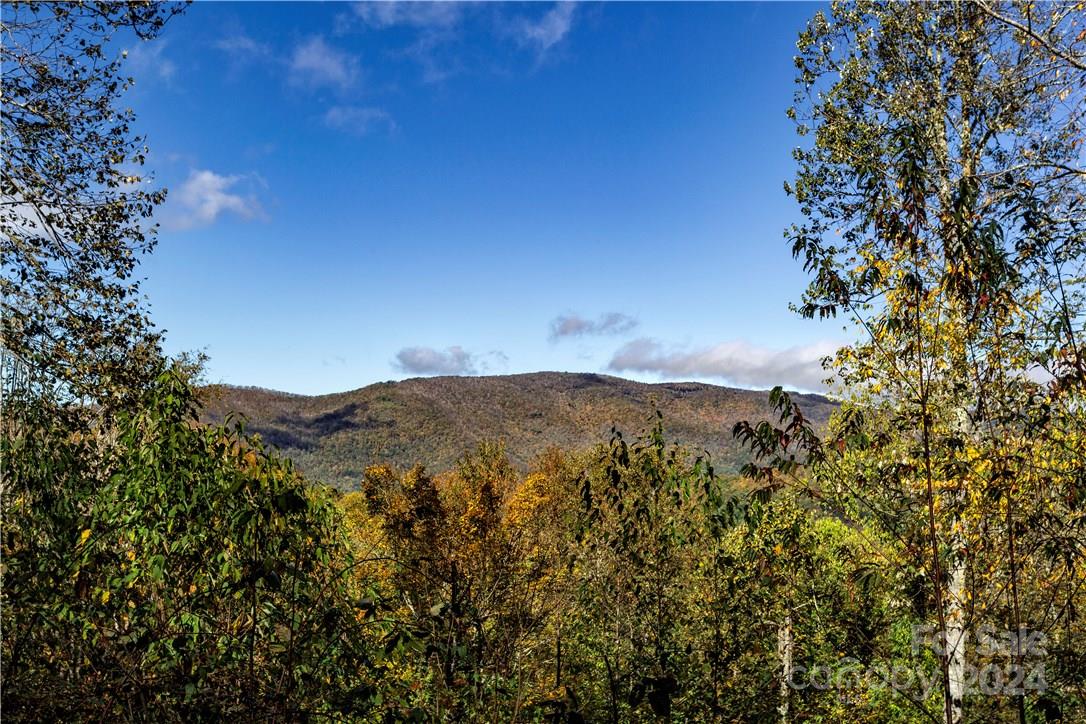 0 Big Spring Trail, Unit 65 Cherokee, NC 28719 - Photo 14 of 20 a view of a mountain range with trees