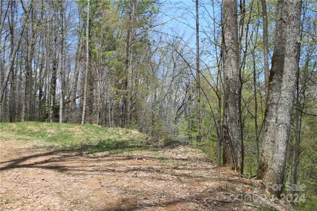 $89,500 | 0 Big Spring Trail, Unit 65, Cherokee, NC 28719