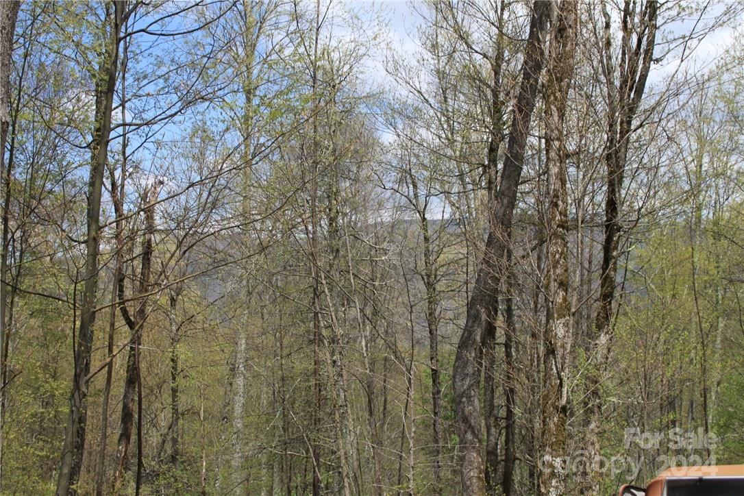 0 Big Spring Trail, Unit 65 Cherokee, NC 28719 - Photo 19 of 20 a view of a yard