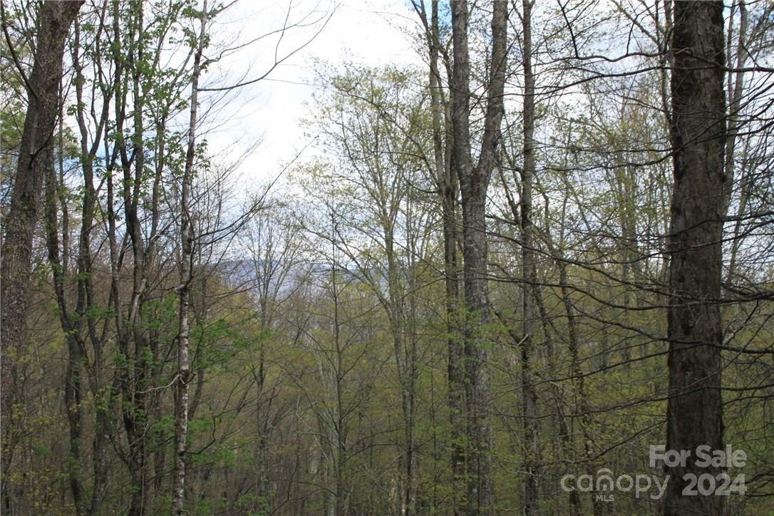 0 Big Spring Trail, Unit 65 Cherokee, NC 28719 - Photo 20 of 20