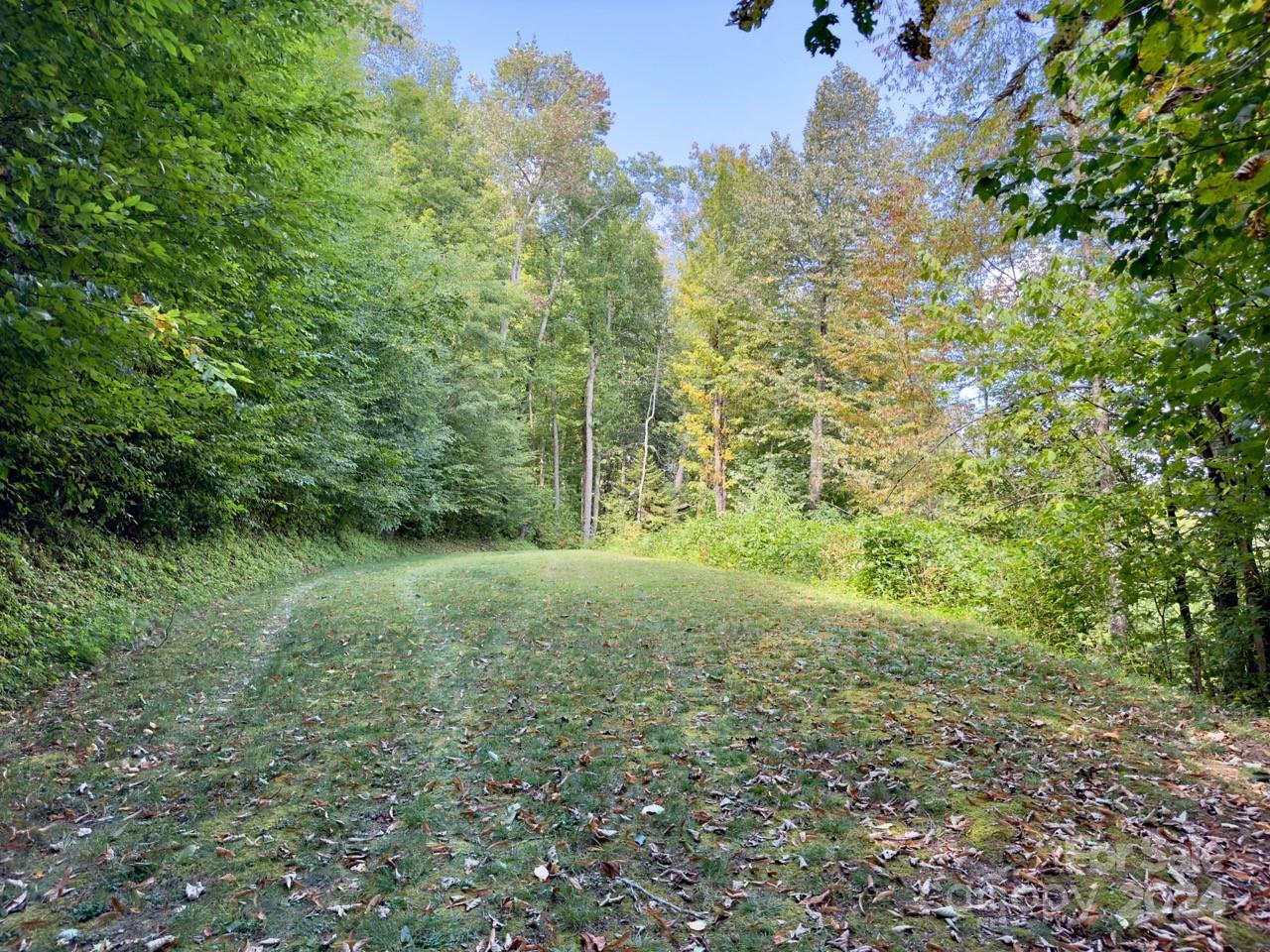 0 Big Spring Trail, Unit 65 Cherokee, NC 28719 - Photo 2 of 20 a view of a yard with a tree