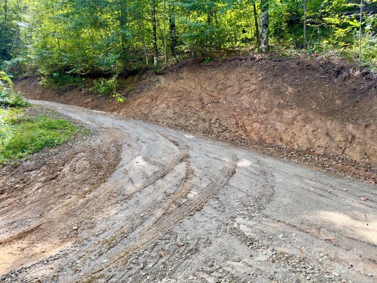0 Big Spring Trail, Unit 65 Cherokee, NC 28719 - Photo 4 of 20 a view of a yard with a tree