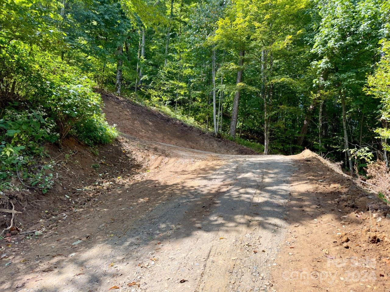0 Big Spring Trail, Unit 65 Cherokee, NC 28719 - Photo 5 of 20 a view of a yard with plants and large trees