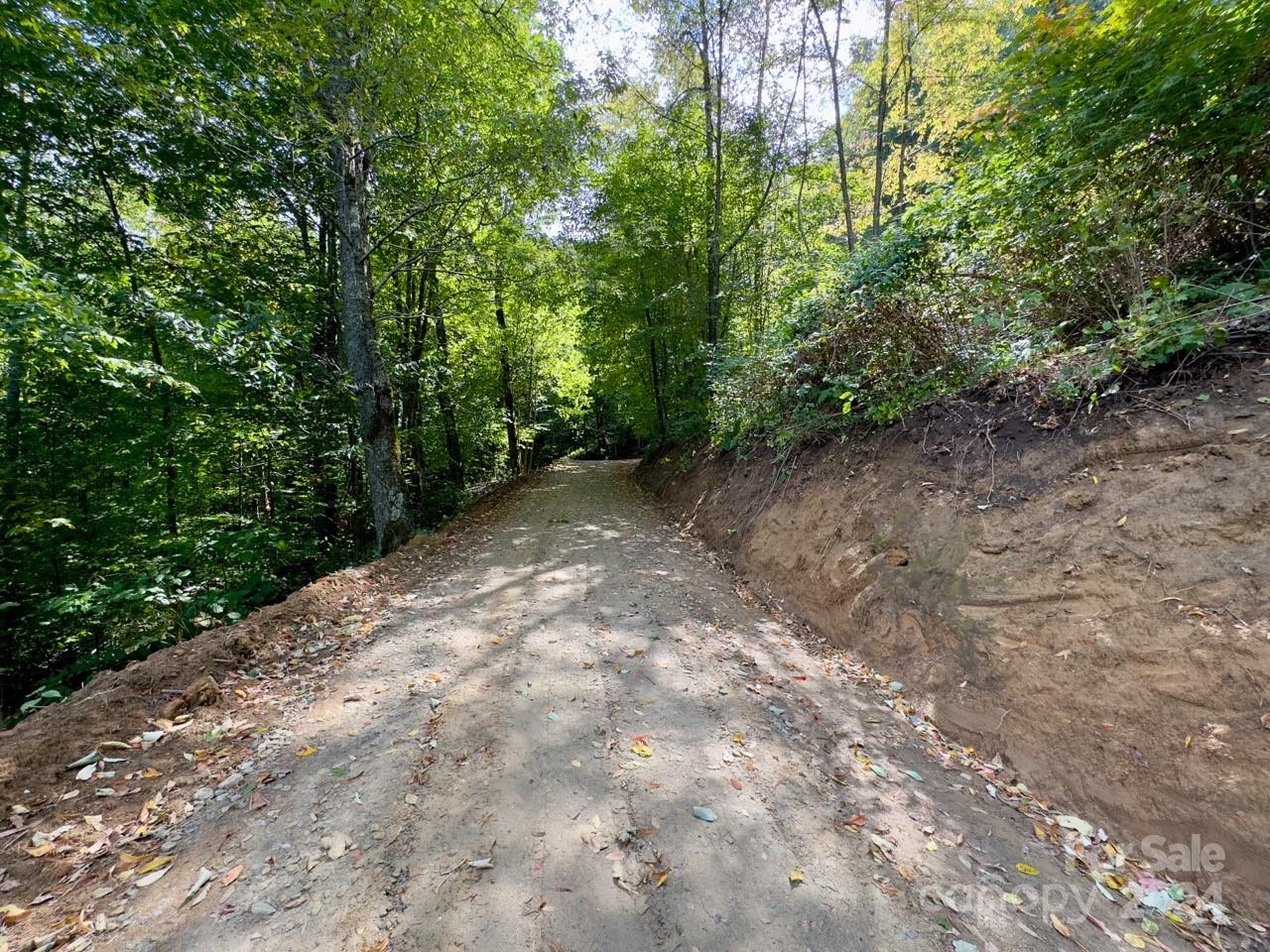 0 Big Spring Trail, Unit 65 Cherokee, NC 28719 - Photo 6 of 20 a view of a forest with trees in the background