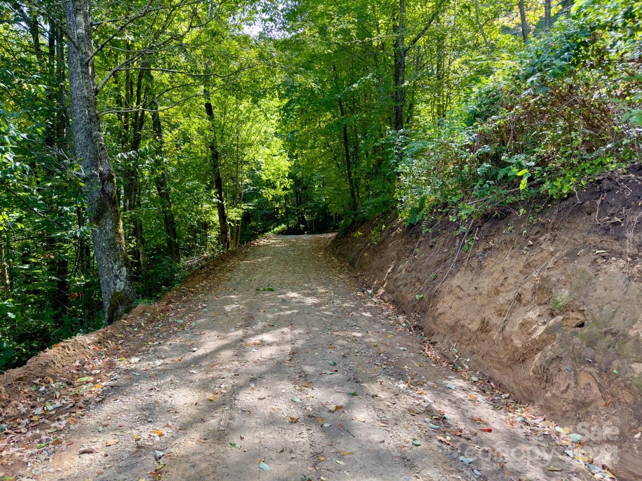 0 Big Spring Trail, Unit 65 Cherokee, NC 28719 - Photo 7 of 20 a view of a forest with trees in the background