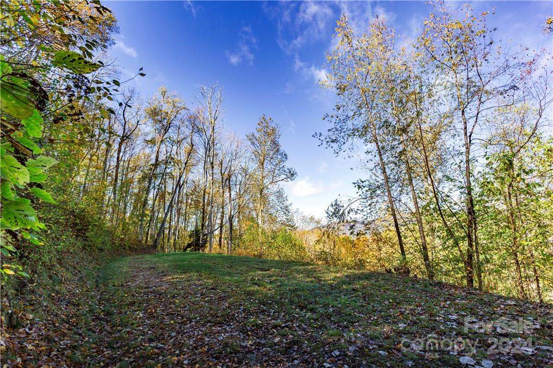 0 Big Spring Trail, Unit 65 Cherokee, NC 28719 - Photo 10 of 20 a view of backyard