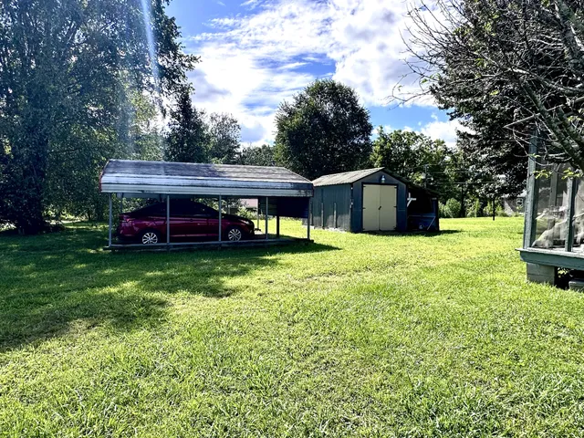 a view of a trees in a yard