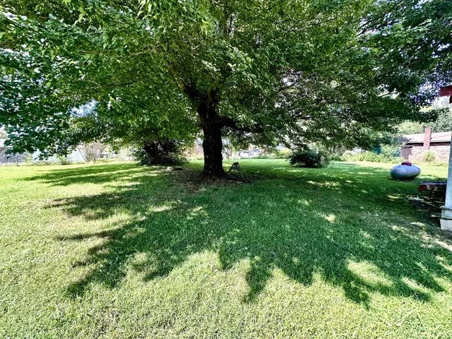 a view of outdoor space and yard