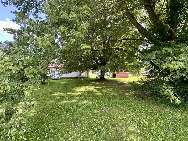 a view of yard with green space