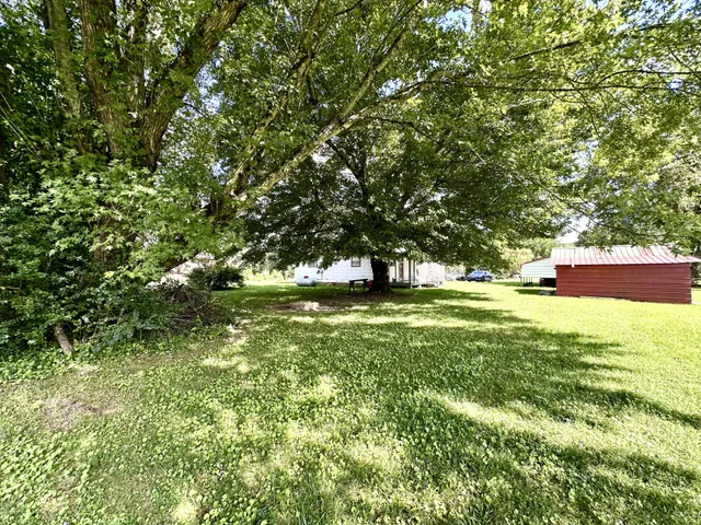 a view of a yard with a tree