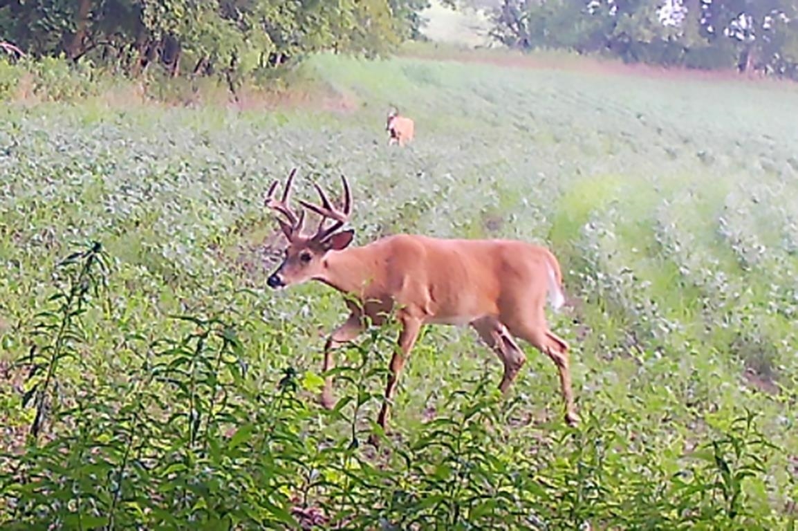 Garrity Road Manawa, WI 54949 - Photo 25 of 28
