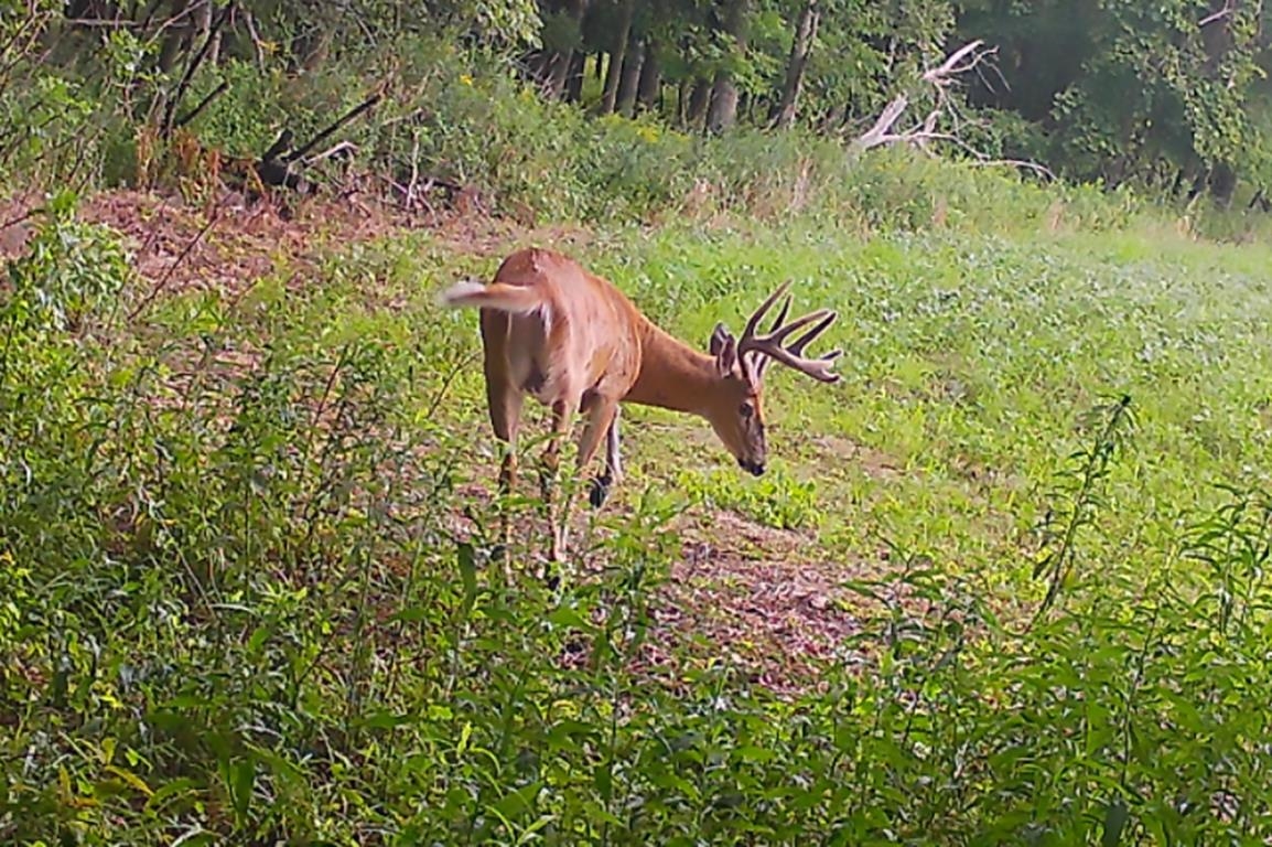 Garrity Road Manawa, WI 54949 - Photo 27 of 28