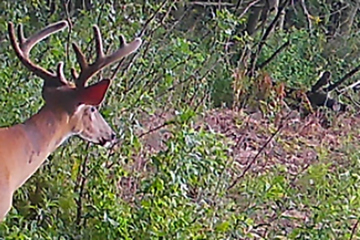 Garrity Road Manawa, WI 54949 - Photo 28 of 28