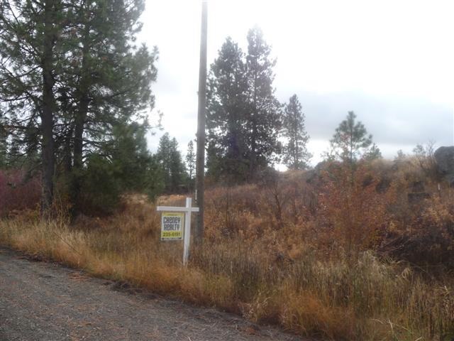 0 South Harrison Road Edwall, WA 99008 - Photo 1 of 7