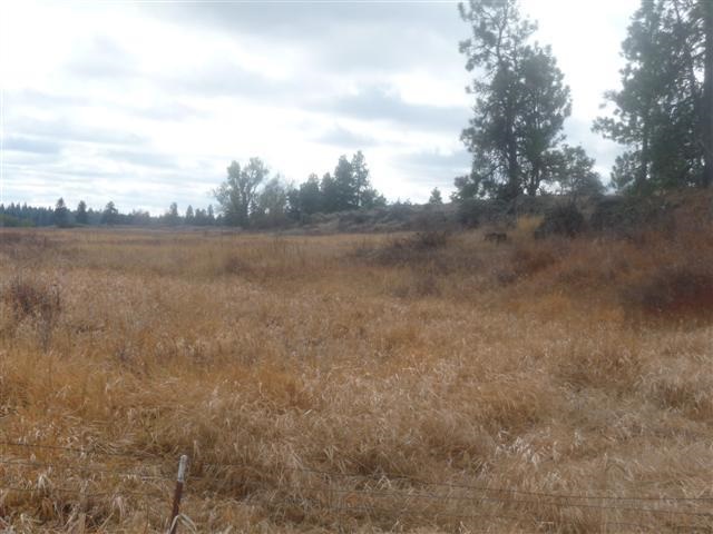 0 South Harrison Road Edwall, WA 99008 - Photo 3 of 7