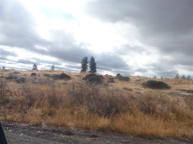 0 South Harrison Road Edwall, WA 99008 - Photo 4 of 7