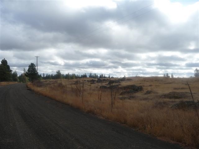 0 South Harrison Road Edwall, WA 99008 - Photo 5 of 7