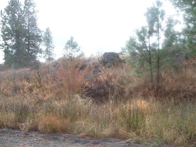 0 South Harrison Road Edwall, WA 99008 - Photo 6 of 7