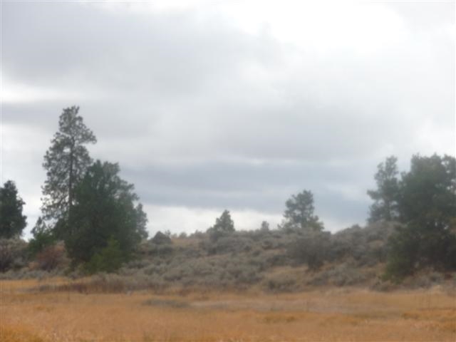 0 South Harrison Road Edwall, WA 99008 - Photo 7 of 7