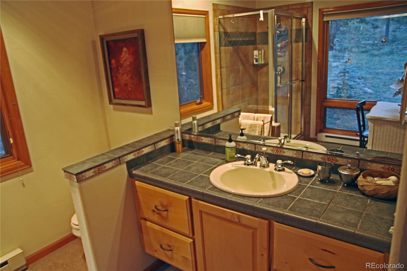 209 Choctaw Road Lyons, CO 80540 - Photo 19 of 32 Gallery Image 19