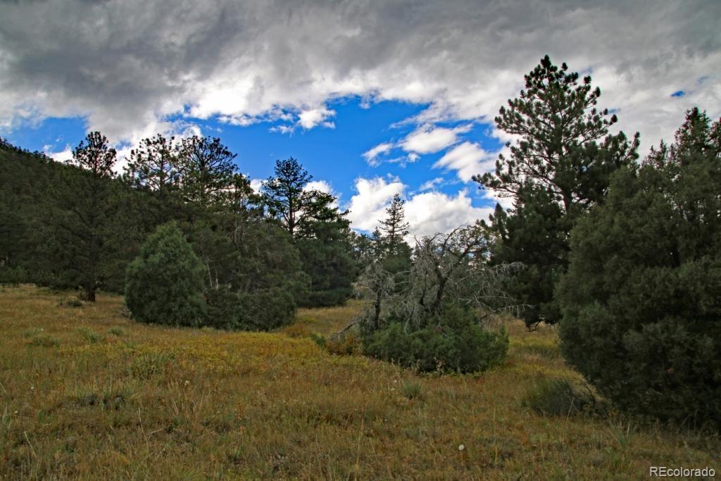209 Choctaw Road Lyons, CO 80540 - Photo 30 of 32 Gallery Image 30