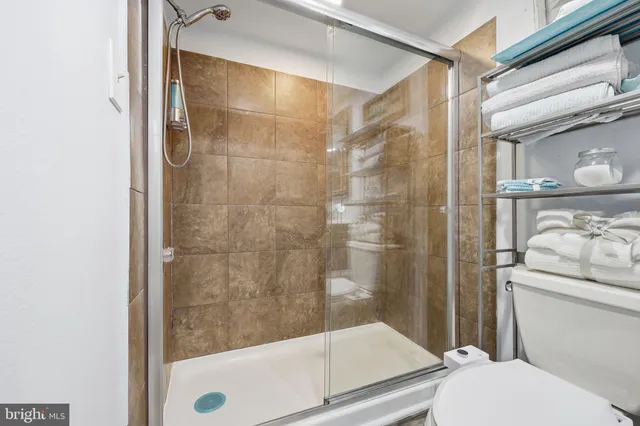 a bathroom with a shower and toilet