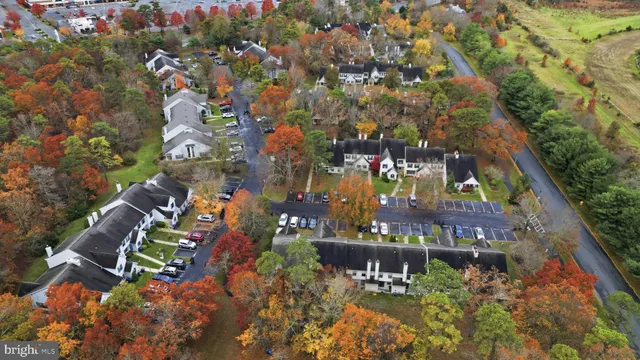 an aerial view of a house with a yard and large trees