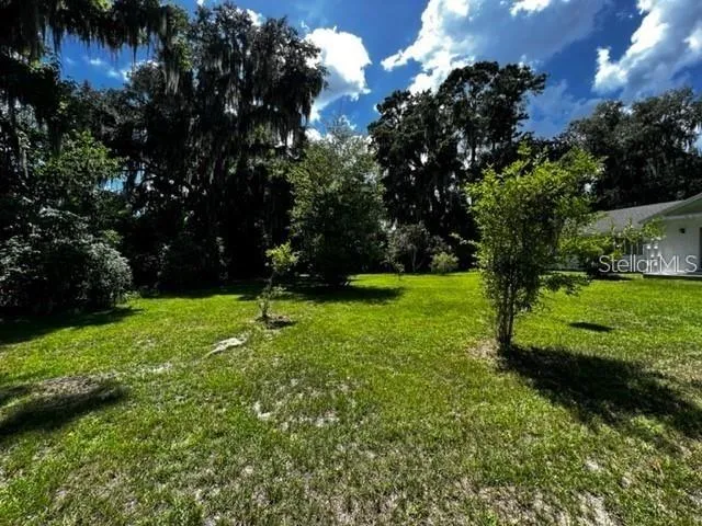 a view of green field