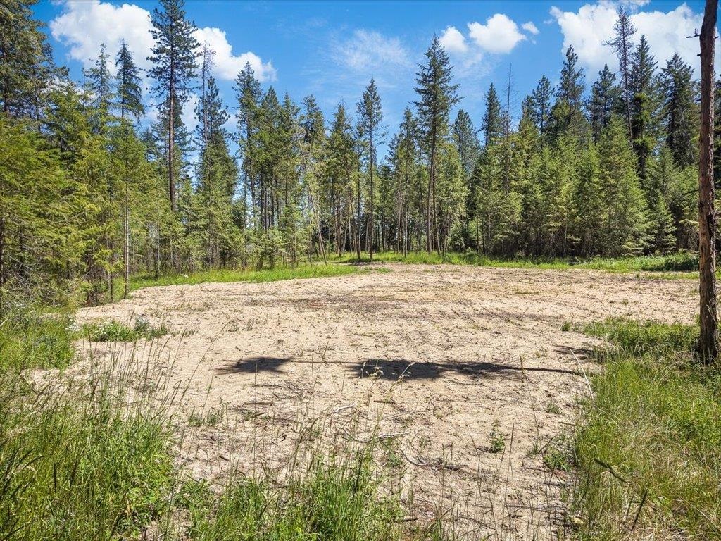 305-xx North Cleveland Road Deer Park, WA 99006 - Photo 6 of 15