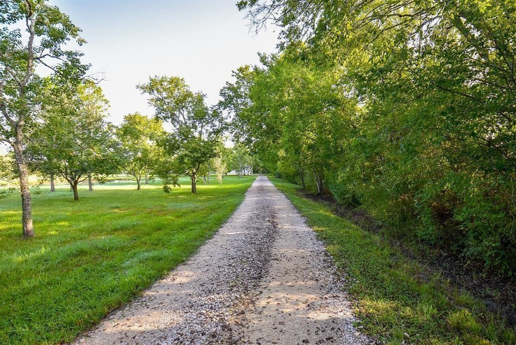 2811 County Road 64 Rosharon, TX 77583 - Photo 2 of 18 Private driveway leads you onto the property.