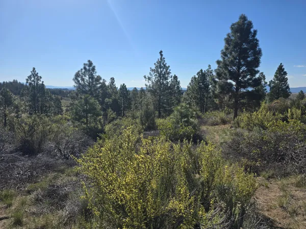 $13,500 | 0 Cote Canyon, Unit 47&48, Chiloquin, OR 97624