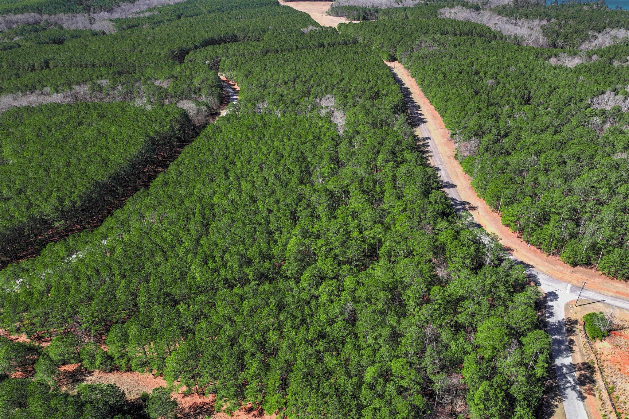 1277 Rogers Road Tignall, GA 30668 - Photo 11 of 12 11-111