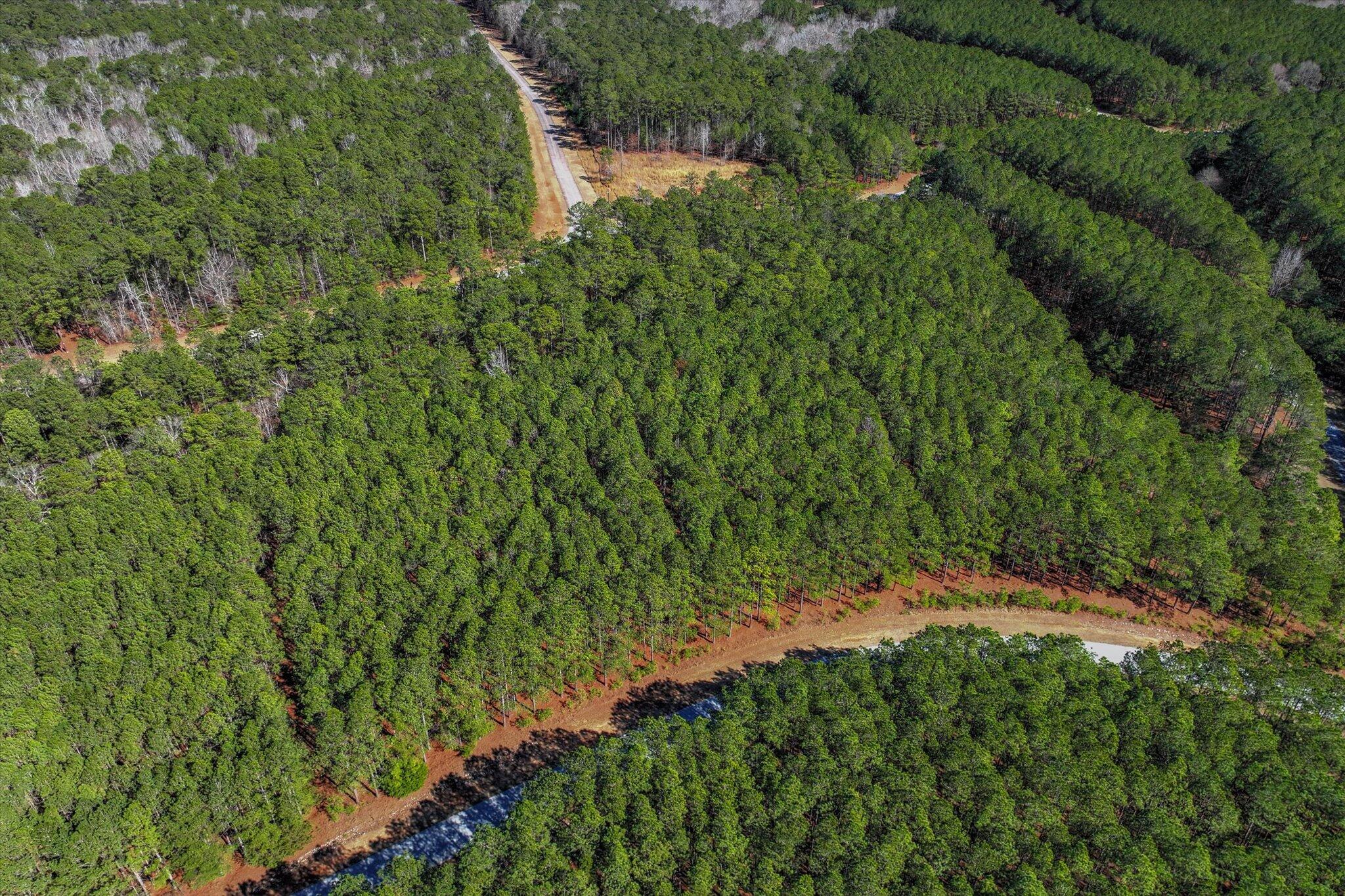 1277 Rogers Road Tignall, GA 30668 - Photo 2 of 12 02-103