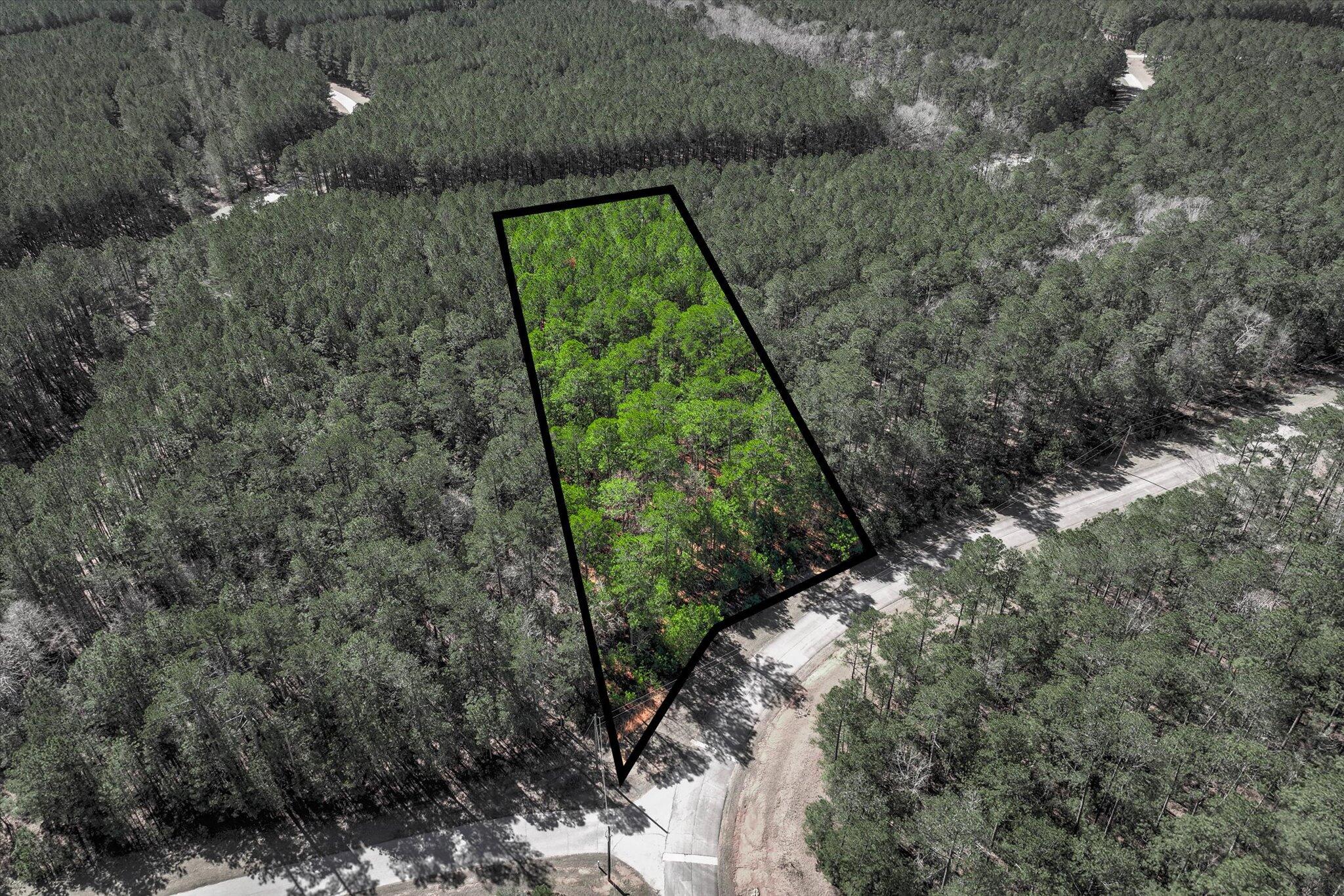 1277 Rogers Road Tignall, GA 30668 - Photo 3 of 12 03-108