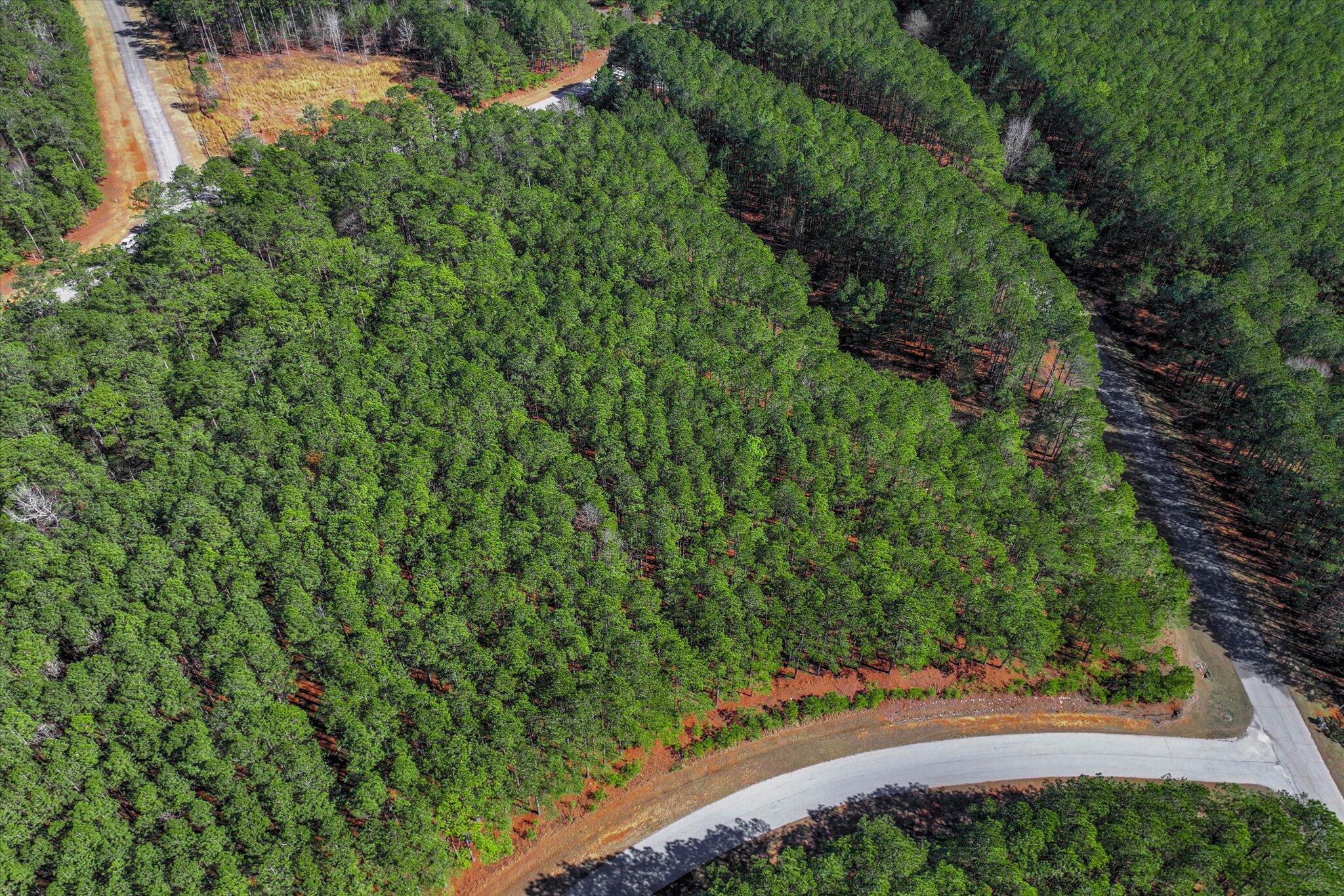 1277 Rogers Road Tignall, GA 30668 - Photo 5 of 12 05-101